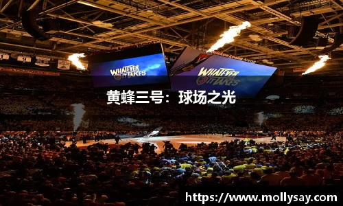 黄蜂三号：球场之光