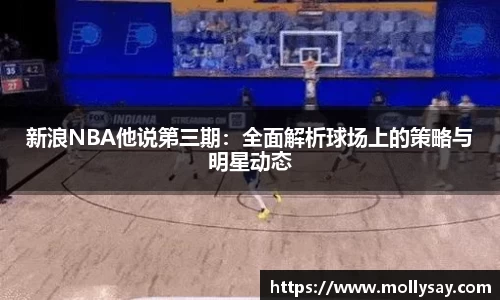 新浪NBA他说第三期：全面解析球场上的策略与明星动态